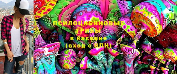 spice Заволжск