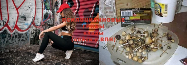 mdma Заволжье